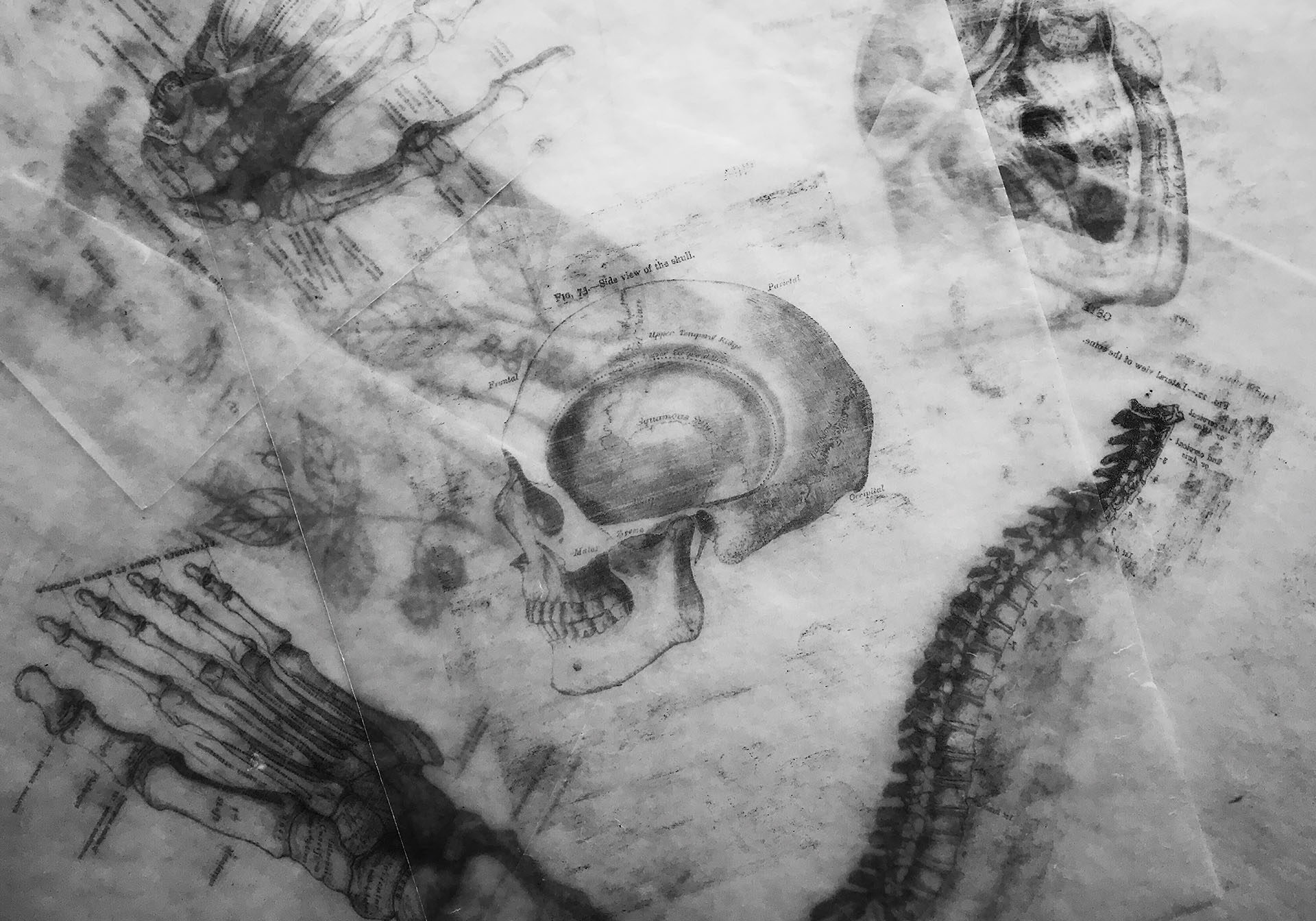 joyce-mccown-LAEPsbXOhIM-unsplash_smaller