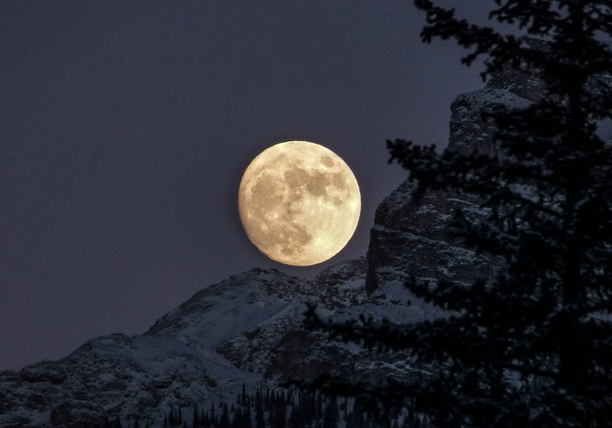 kym-mackinnon-yAHIP-pVi9U-unsplash